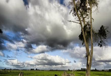 HTH- 巴黎胜日耳曼 